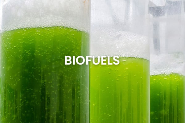 Biofuels 600x400 Biofuels
