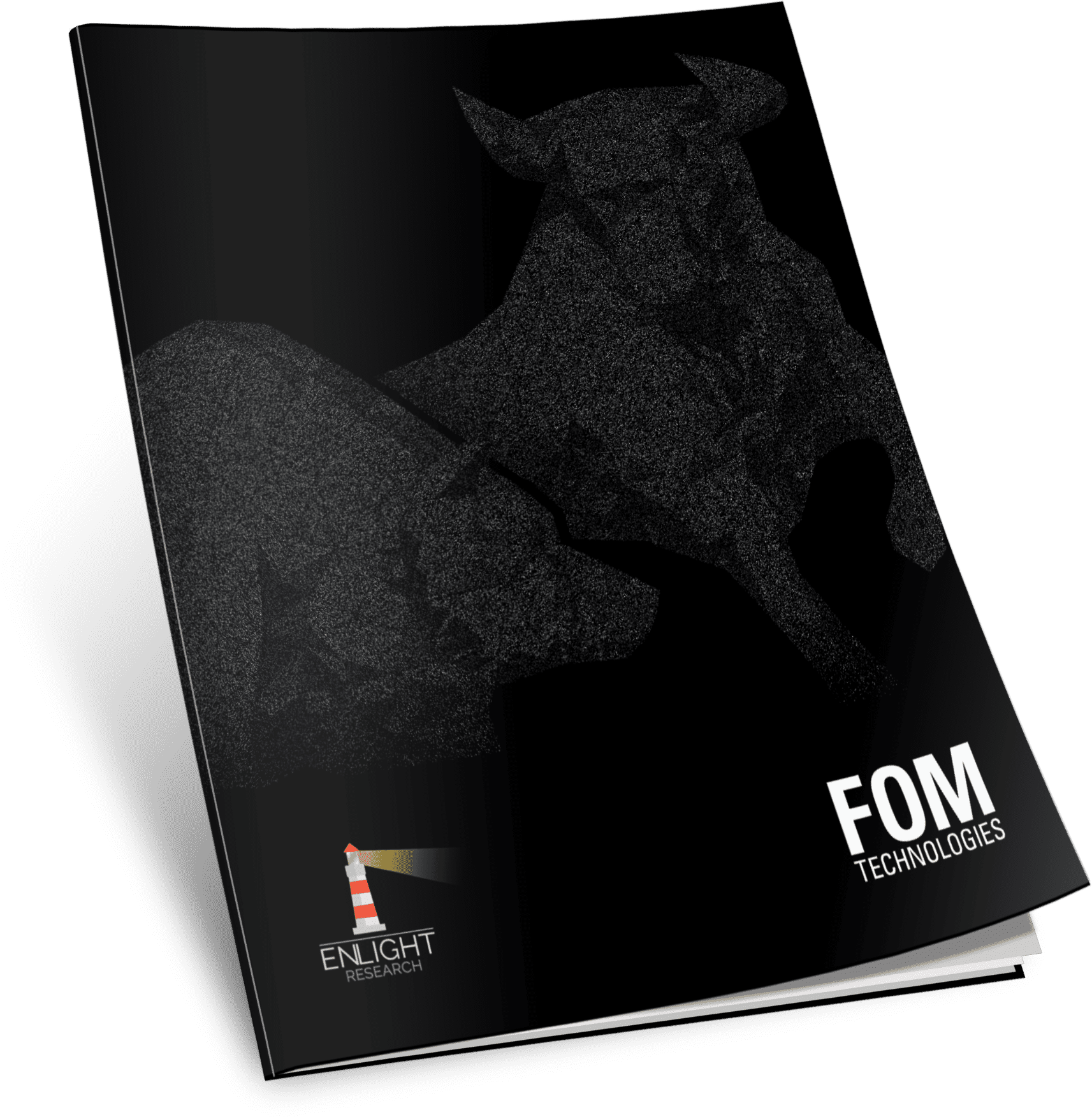 Commissioned Report Enlight Stockpicker SE 3D
