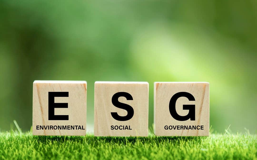 ESG-specialist to join the Board of Directors in FOM Technologies.